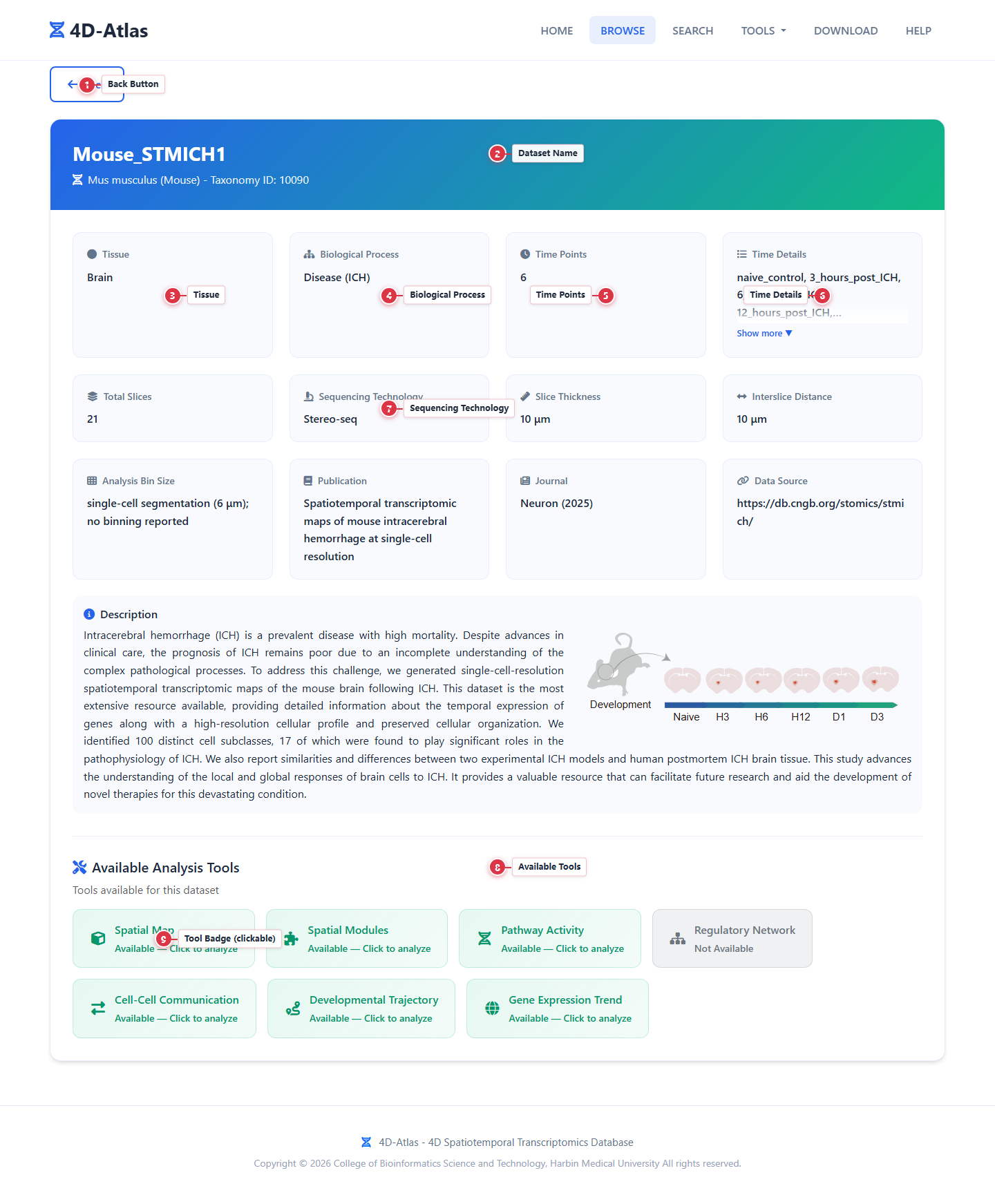 Dataset Detail Guide
