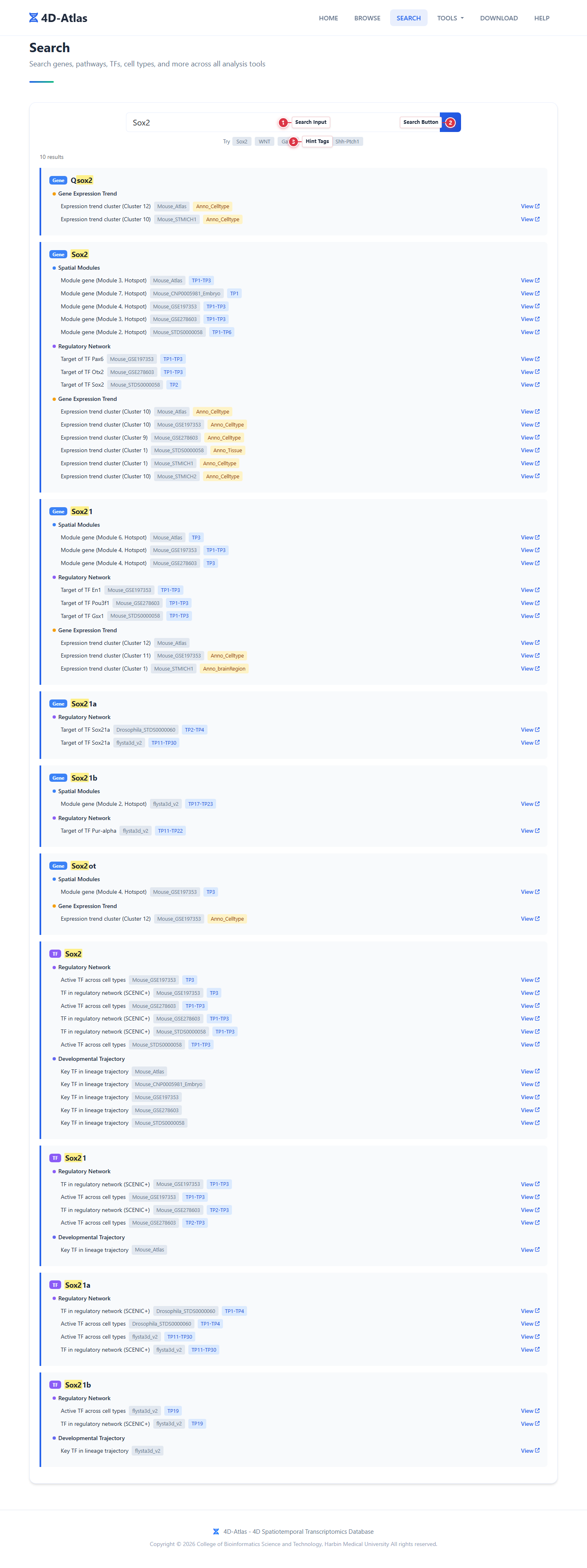 Search Page Guide