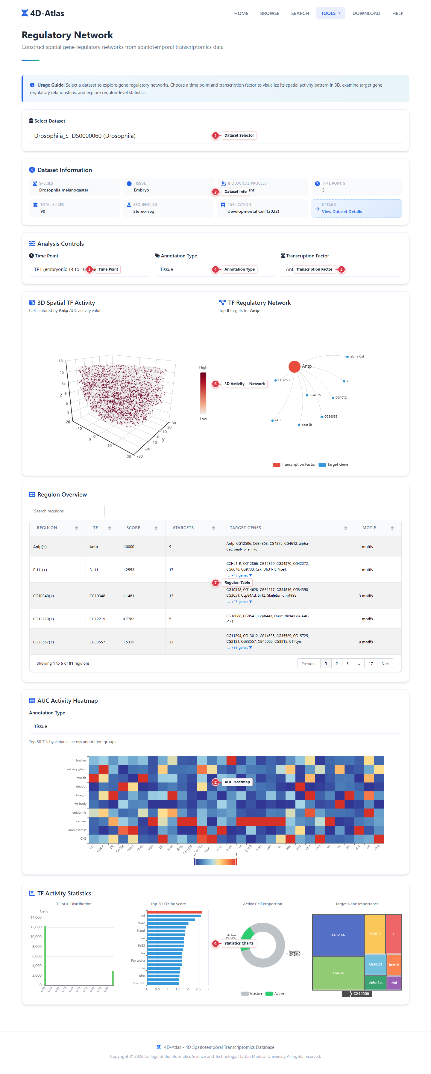 Regulatory Network Guide