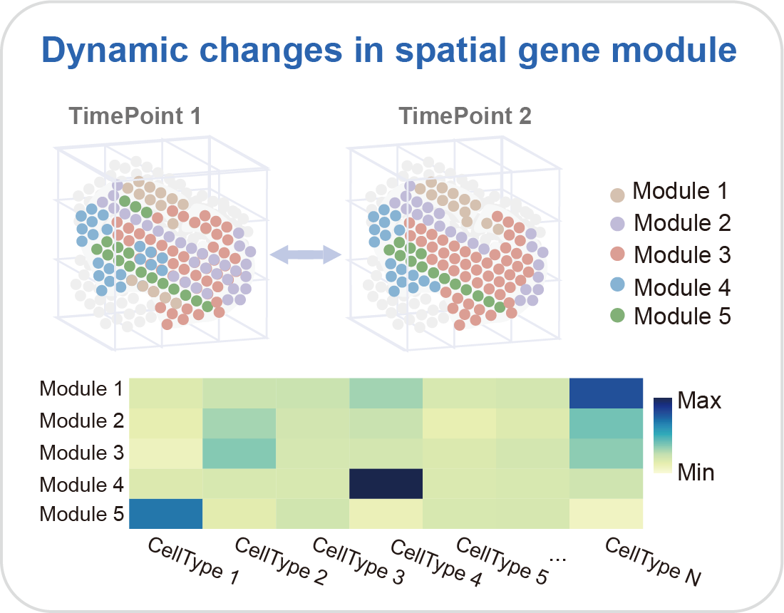 Spatial Modules