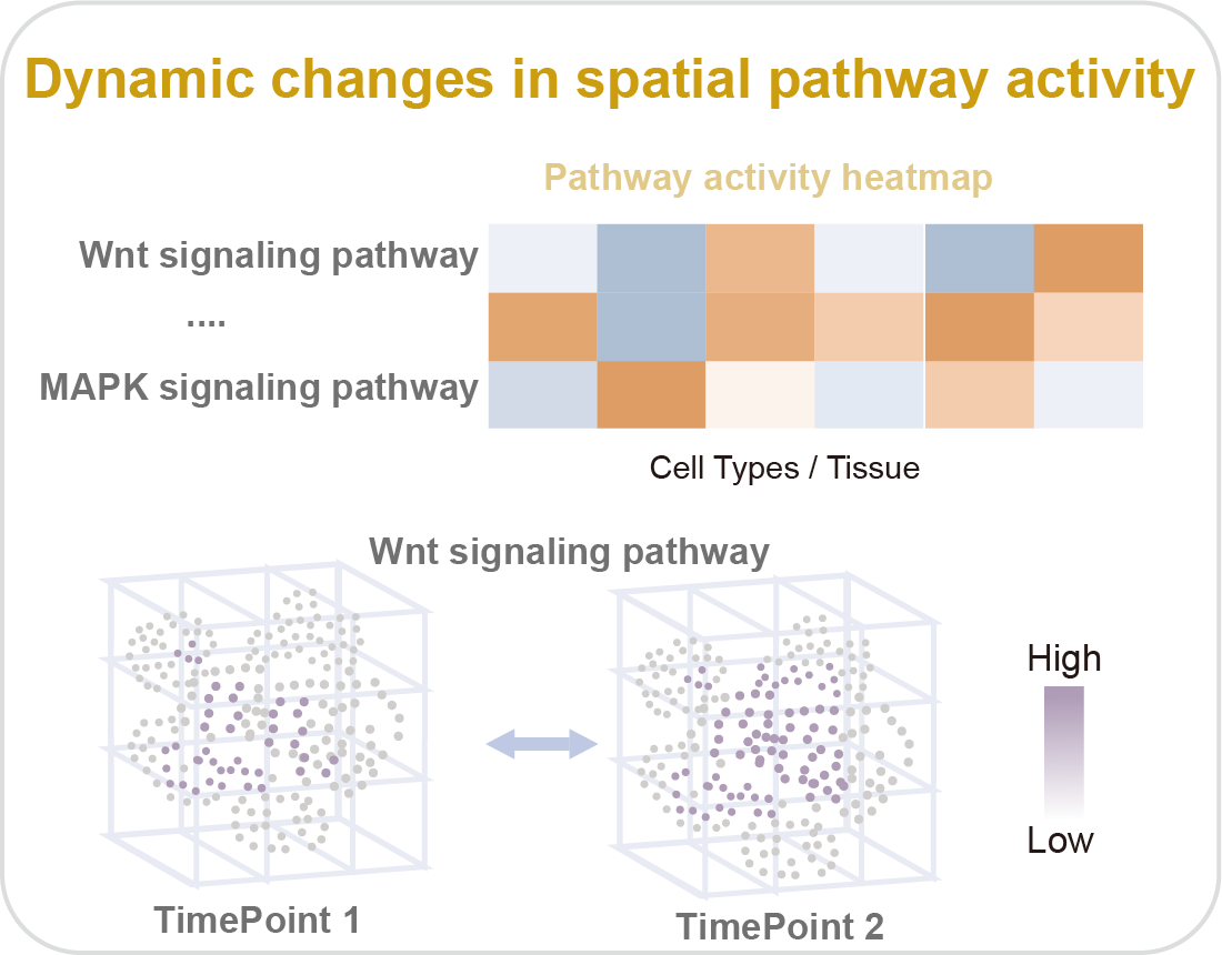 Pathway Activity