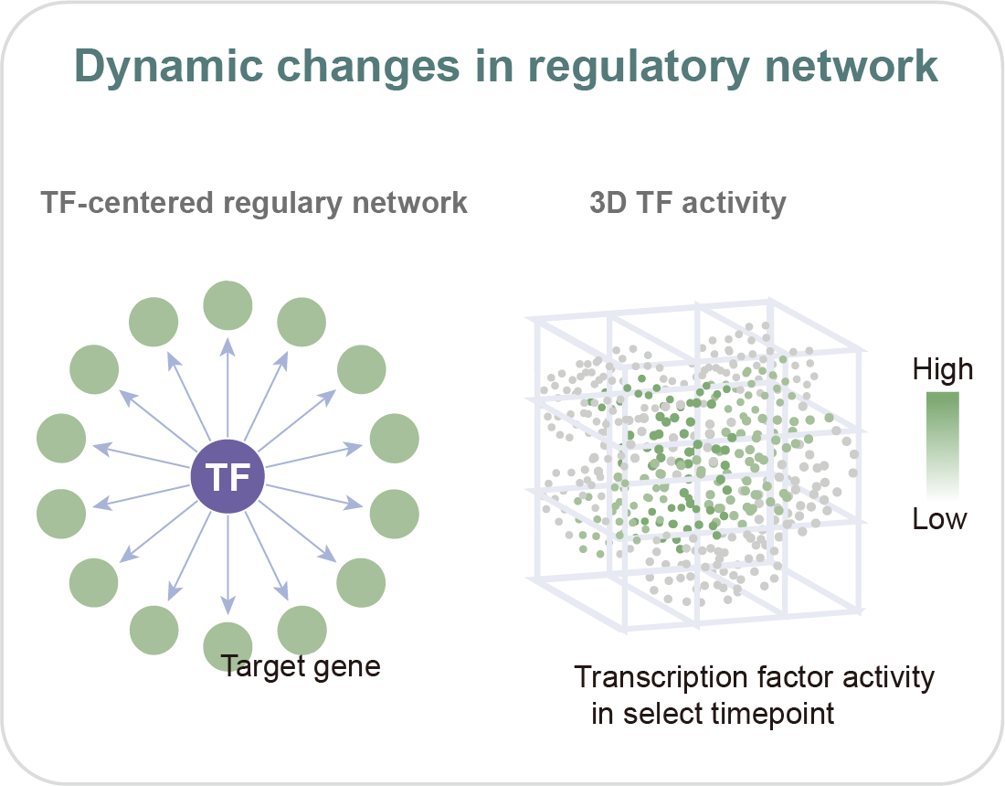 Regulatory Network