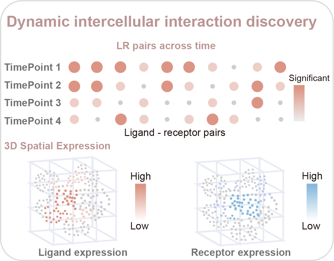 Cell-Cell Communication